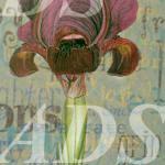 Flowerama- Digital Collage Sheet- Clip Art..