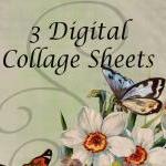 Digital Collage Sheet - Clip Art Elements- Digital..