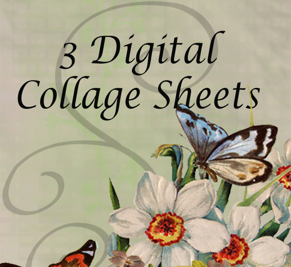Digital Collage Sheet - Clip Art Elements- Digital Scrapbooking- Deal- Choose 3 Collage Sheets